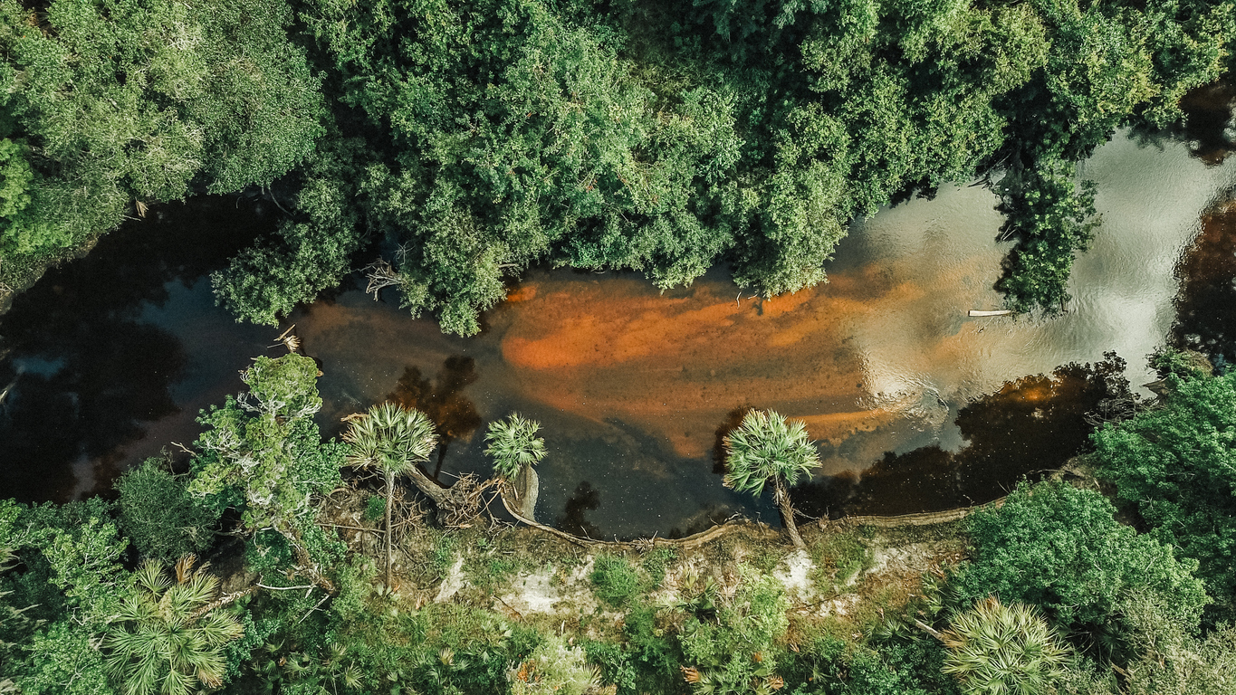 Panoramic Image of Brandon, FL